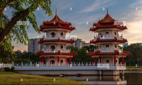 桑葚干副作用是什么